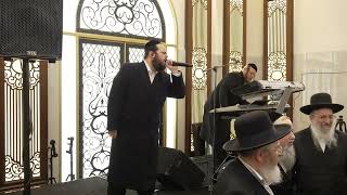 דובל'ה פרידמן בליווי לייזר הופמן במחרוזת ריקודים שניים סוערים