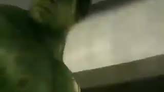 Download lagu Medan dubbing hulk mp3 Download lagu Medan dubbing hulk mp3