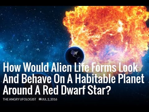 How Would Alien Life Forms Look And Behave On A Habitable Planet Around A Red Dwarf Star? | AUDIO