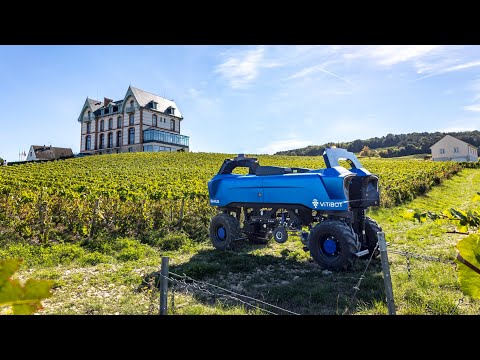 Bakus:A Farm Weeding Robot From Vitibot Robotics #robotics #ameca #bostondynamics #optimus