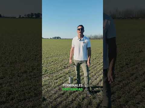 Campo en  Arocena - 85 ha 2 #campoagricola