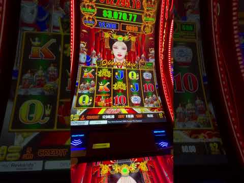https://spinbetcasino.net.nz/