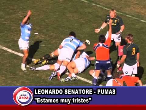 Leonardo Senatore: "Estamos muy tristes"