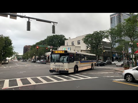 The Bee-Line System: 2006 Orion V Diesel #667 on Route 7