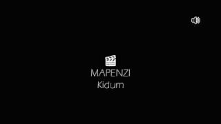 MAPENZI - Kidum (Lyrics Video)