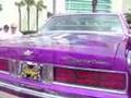 Daytona Spring Break Nationals 3 30 08 Purple Caprice