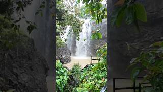 베트남 부온마트옷 : 다낭