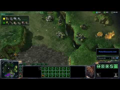 PainUser vs. Zerker - StarCraft 2 Beta Commentary (#52)