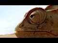 Planet Earth II Official Trailer 2016
