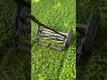 Mowing our Clover Lawn! #shorts #clover #cloverlawn