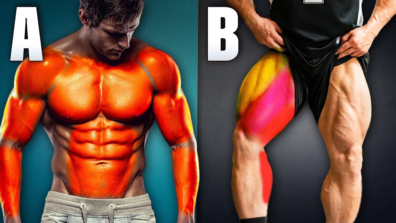 Como montar um TREINO AB | Ficha de treino GRÁTIS com TODOS EXERCÍCIOS