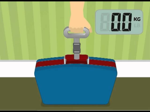 Video teaser per Salter Luggage Scale