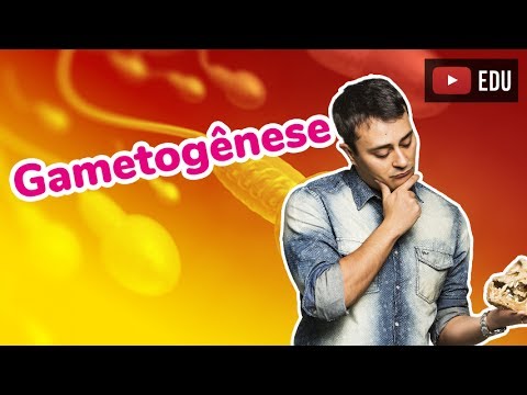 Gametogênese - Prof. Paulo Jubilut