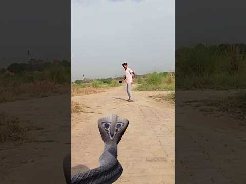 June 20, 2024 Funny shorts #vfx #magic #comedy #funny #shorts #youtubeshorts