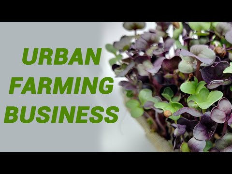 Start It Up: Urban Farming Business