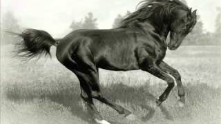 Grófó & Kis Grófó-Pergető 2010