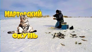 Ссылка