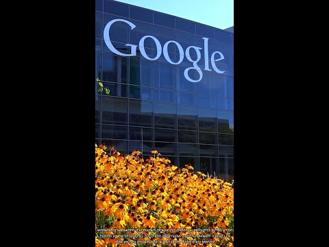 היום במהדורה 17.11.25: אלפאבית מזנקת ב-5.5% לאחר שברקשייר הת'אוויי חשפה רכישת מניות גוגל בשווי 4.3 מיליארד דולר