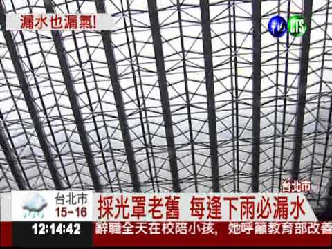 北市府大廳"下雨" 擺水桶接水!