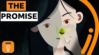 The girl who changed the world with an acorn | BBC Ideas