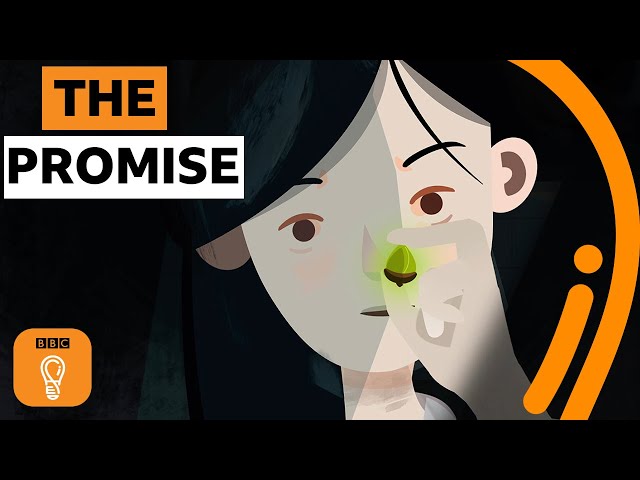 The girl who changed the world with an acorn | BBC Ideas