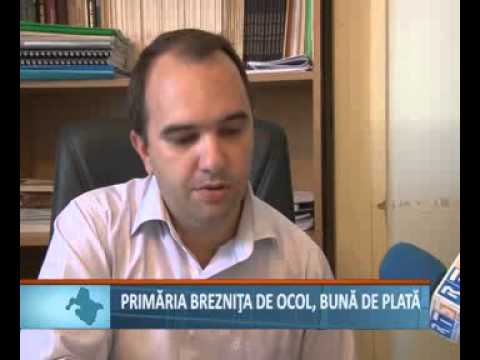 Primaria breznita buna de plata