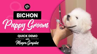 Bichon Puppy Grooming Demo w/ Mayra Grajales