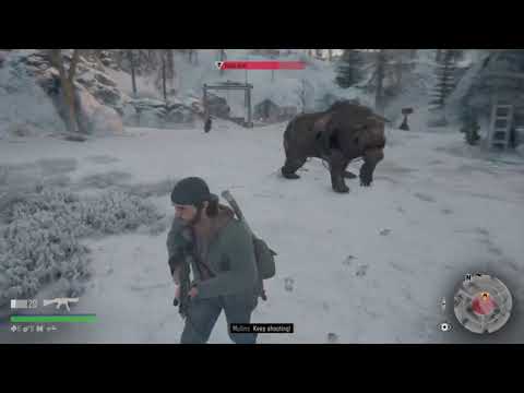 DAYS GONE - How to easily kill the Rager Bear #Daysgone