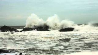 Jeanne de Clisson - STETRICE