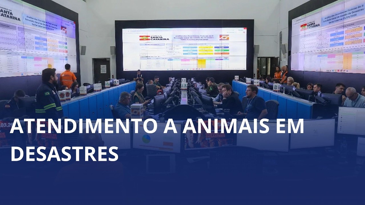 Defesa Civil amplia estrutura de resposta para atendimento a animais em desastres