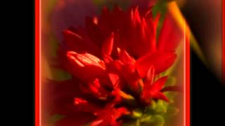 World Of Rainbows by R. Carlos Nakai