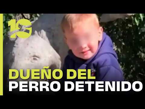 Detuvieron al dueño del perro que mató a un niño en Alta Gracia