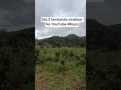 Dia 2 tentando vitalizar #roça #cafe #picodabandeira #caparaó