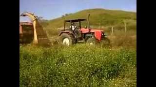preview picture of video 'Corte de pasto con tractor Belarus'