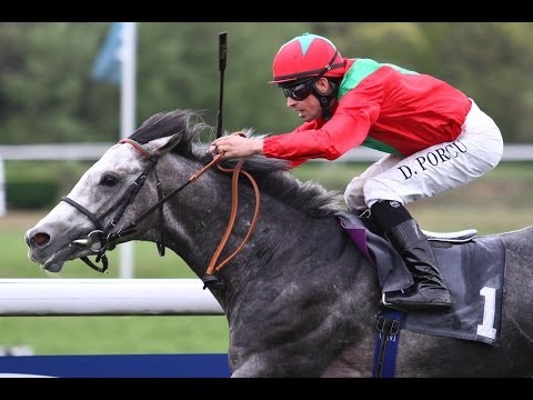 Köln: Preis der Bet3000 GmbH (E) - Sieger: Der Graue