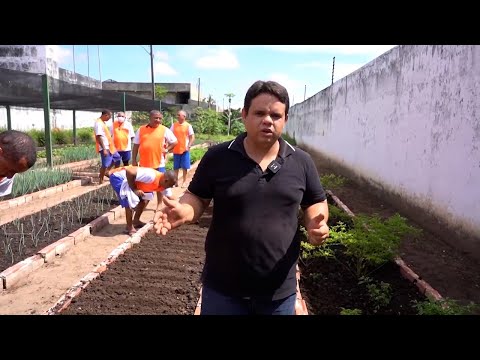 Internos da Penitenciária Professor José Ribamar Leite realizam curso de horticultura 29 04 2023