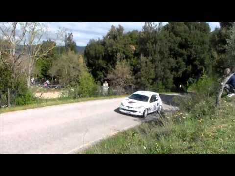 2° Rally Day Colline Metallifere 2016 E. Baldi - E. Cavasin Peugeot 206 A6 POOL RACING