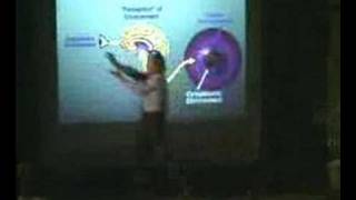 Bruce Lipton - Biology of Perception 6 of 7