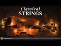 Classical Music Violin Viola Cello