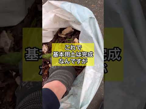 庭の土壌を活性化する理由と方法: 肥沃度を回復するための簡単なステップ  庭園