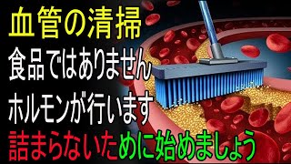 血管の掃除は食べ物ではなくホルモンで！高血圧を防ぎ血管を再生させる2つのホルモンを増やしましょう！