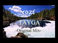Dj Cozt - Tayga (Original Mix) 