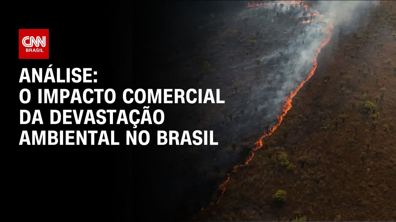 Análise: O impacto comercial da devastação ambiental no Brasil | WW