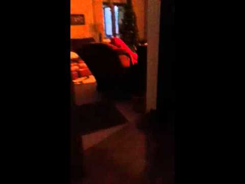 Juan the doggy hunter