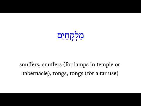 H4457 מַלְקָחַיִם