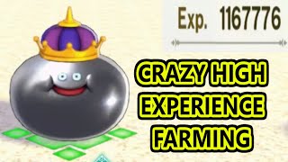 Fast Experience Dragon Quest Monsters The Dark Prince