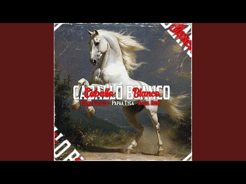 CABALLO BLANCO