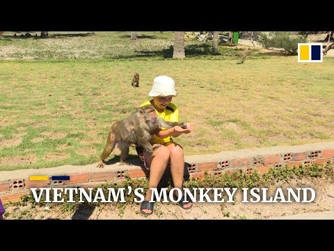 Vietnam's ‘Monkey Island’ draws tourists and criticism