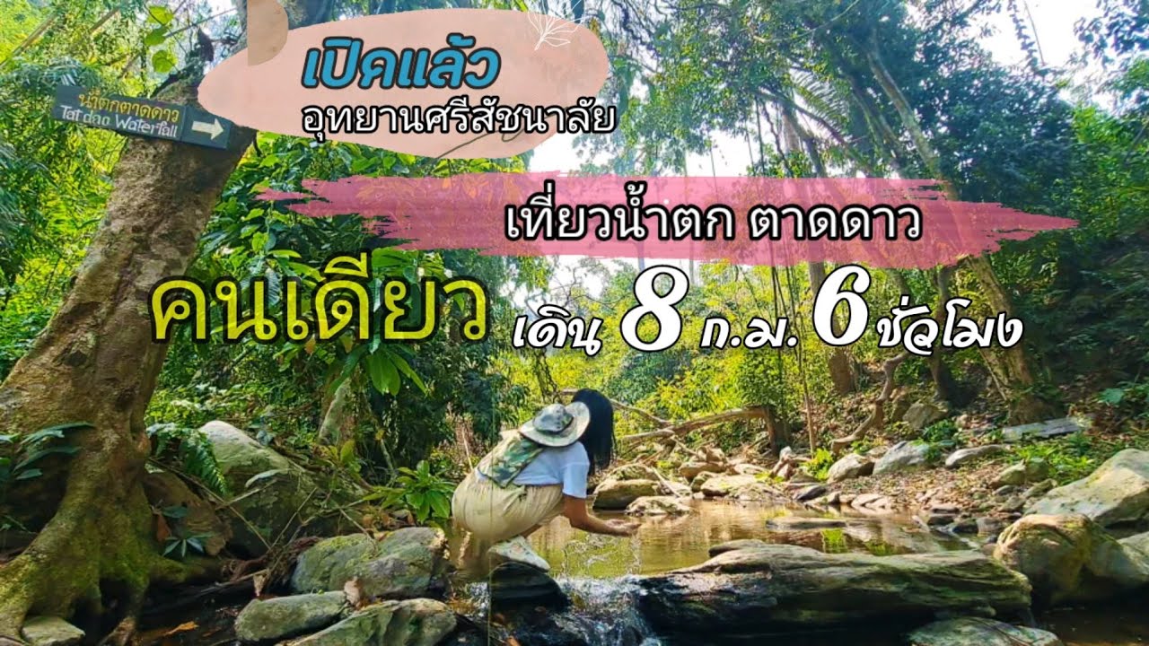 น้ำตกตาดดาว