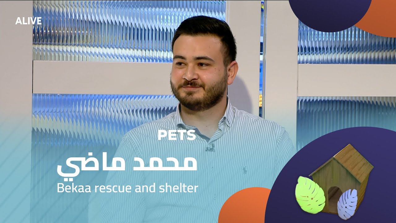 Pets - 17/12/2025 - محمد ماضي - Bekaa rescue and shelter
